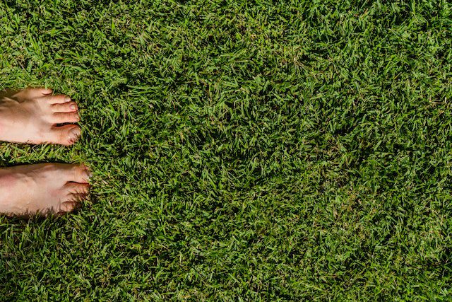 A child’s bare feet standing on heat-resistant artificial grass.