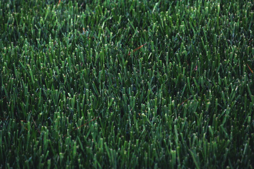 Close up of artificial turf with foreign particles