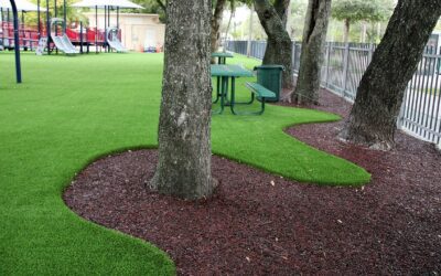The Rise of Artificial Turf in Los Angeles in residential and commercial spaces: How Artificial Grass is shaping Los Angeles Landscapes.