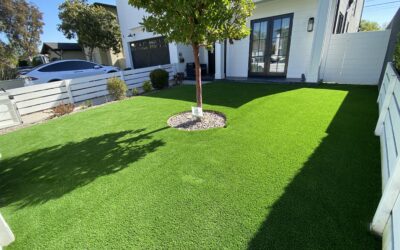 Top Trends for Artificial Turf Design and Installation