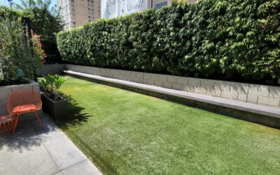 When Should Artificial Grass Be Replaced?