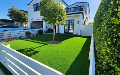 Reasons Why To Choose High Quality Artificial Grass Vs Low Quality Artificial Grass.