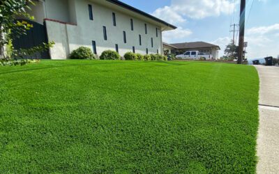 Sustainability and Artificial Grass:  Debunking Common Myths 