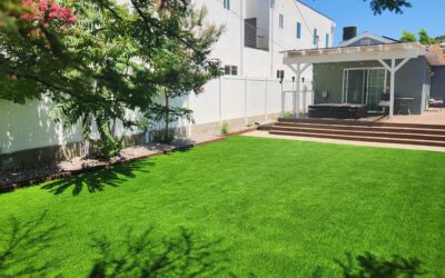 Most Common Ways Artificial Turf Gets Damaged: How to Protect Your Investment