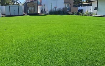 The Economics of Artificial Grass: Calculating Cost Savings Over Time