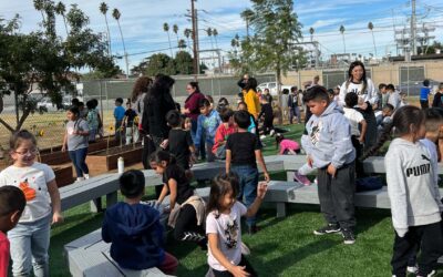 Artificial Grass for Schools and Playgrounds: Safety and Durability for Kids!