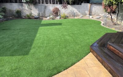 Astroturf 101: Why More Homeowners & Businesses Are Making the Switch