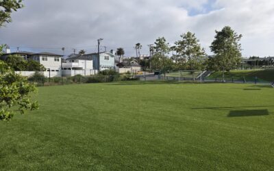 Why Synthetic Turf with Padding Is Ideal for Kid-Friendly Playgrounds