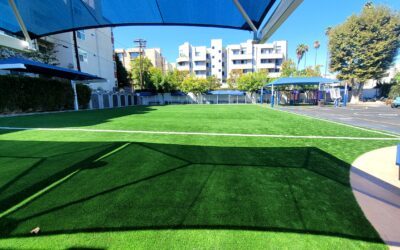 From Football Fields to Rooftop Bars: The Evolution of Artificial Turf