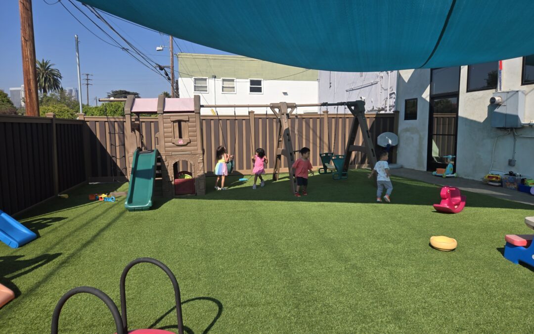 Playground Turf