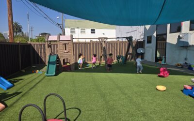 Why Artificial Grass is the Perfect Choice for Daycares, Playgrounds, and Safe Play for Kids