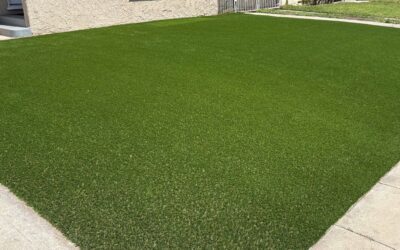 Don’t Let the Sun Melt Your Turf: How to Stop Reflection Damage