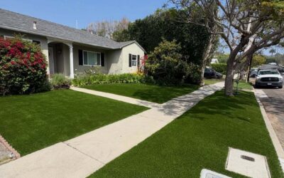 Why High-Quality Artificial Grass Is Worth the Investment