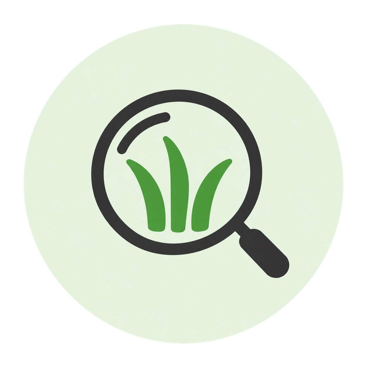 Magnifying glass inspecting artificial turf