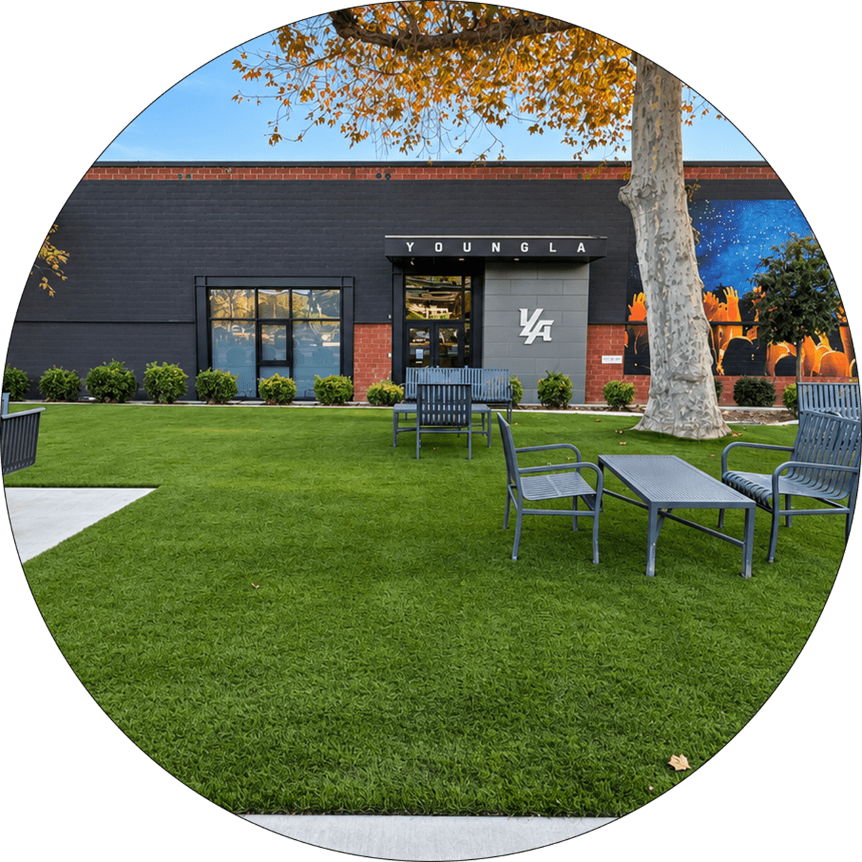 Commercial artificial turf installation at YoungLA in Northridge, Los Angeles
